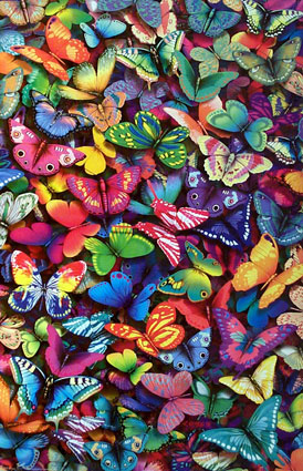 004_2324~Butterflies-Posters.jpg