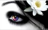 eyes.jpg