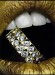 [obrazky.4ever.sk] pery 4980666.jpg