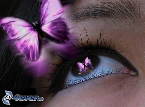 [obrazky.4ever.sk] oko, motyl 6575545.jpg